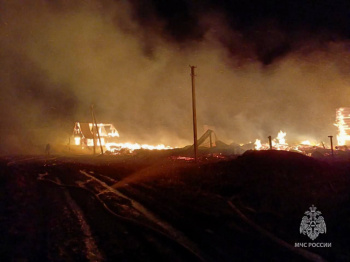 Обстановка  с пожарами с 18 ноября по 25 ноября 2024 года