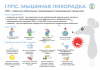 О мерах профилактики геморрагической лихорадки с почечным синдромом (ГЛПС)