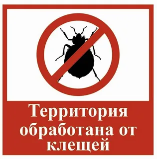 В Глазове провели акарицидную и дератизационную обработку 