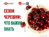 Сезон черешни Что важно знать