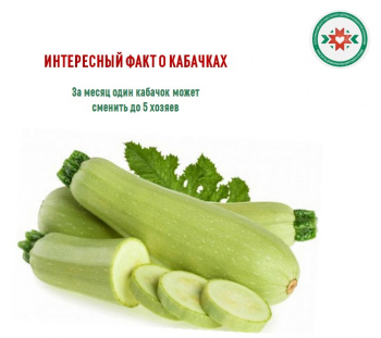 Вам нужен кабачок?
