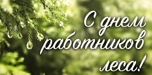 ЗЕЛЕНОЕ БОГАТСТВО СТРАНЫ