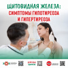 Щитовидная железа: Симптомы гипотиреоза и гипертиреоза