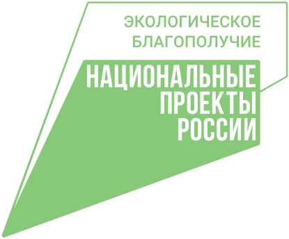 Национальный проект «Экологическое благополучие»